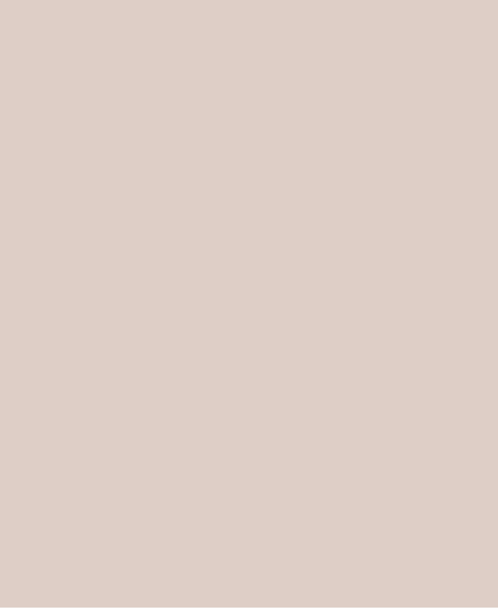shop-placeholder-2
